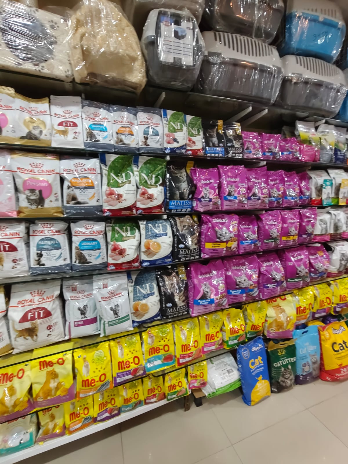 Sarvadnya Pet Care Unit veterinary clinic, Pune
